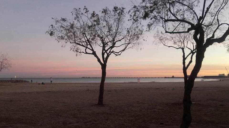 Mediterrania Marina Sagunto Стая снимка