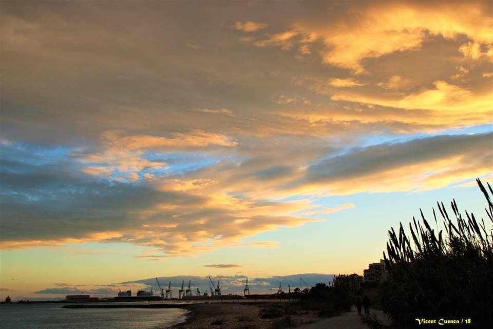 Mediterrania Marina Sagunto Стая снимка