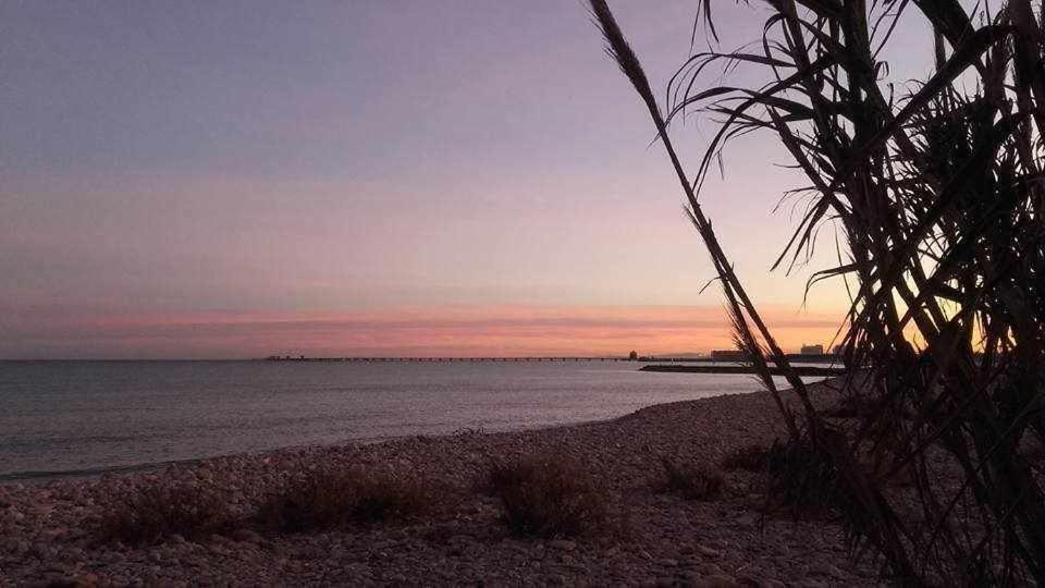 Mediterrania Marina Sagunto Стая снимка